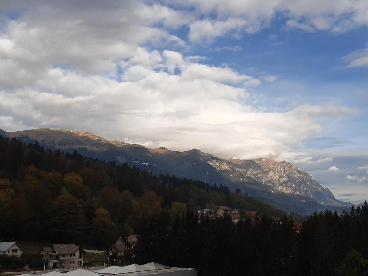Апартаменты Bucegi View 39 - Colina Marei Синая Экстерьер фото