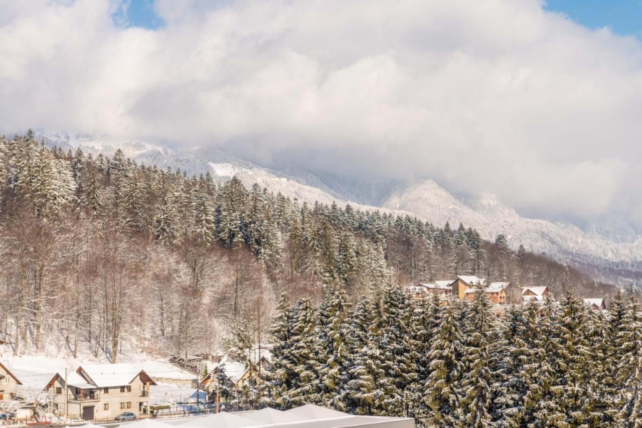 Апартаменты Bucegi View 39 - Colina Marei Синая Экстерьер фото