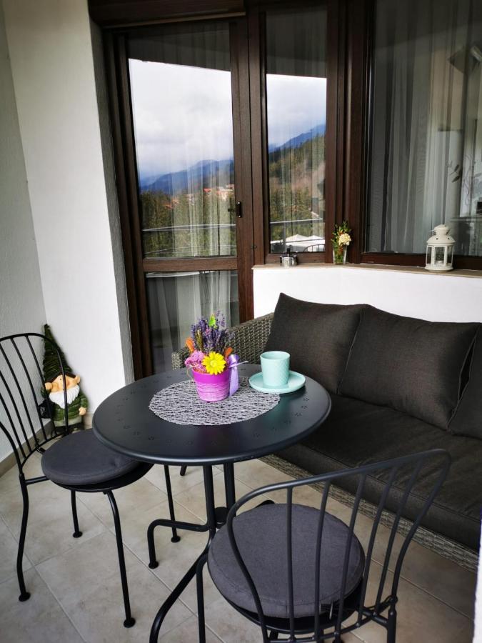 Апартаменты Bucegi View 39 - Colina Marei Синая Экстерьер фото