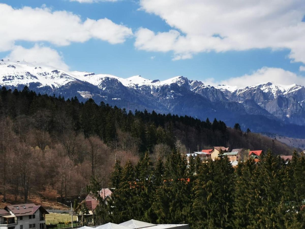 Апартаменты Bucegi View 39 - Colina Marei Синая Экстерьер фото
