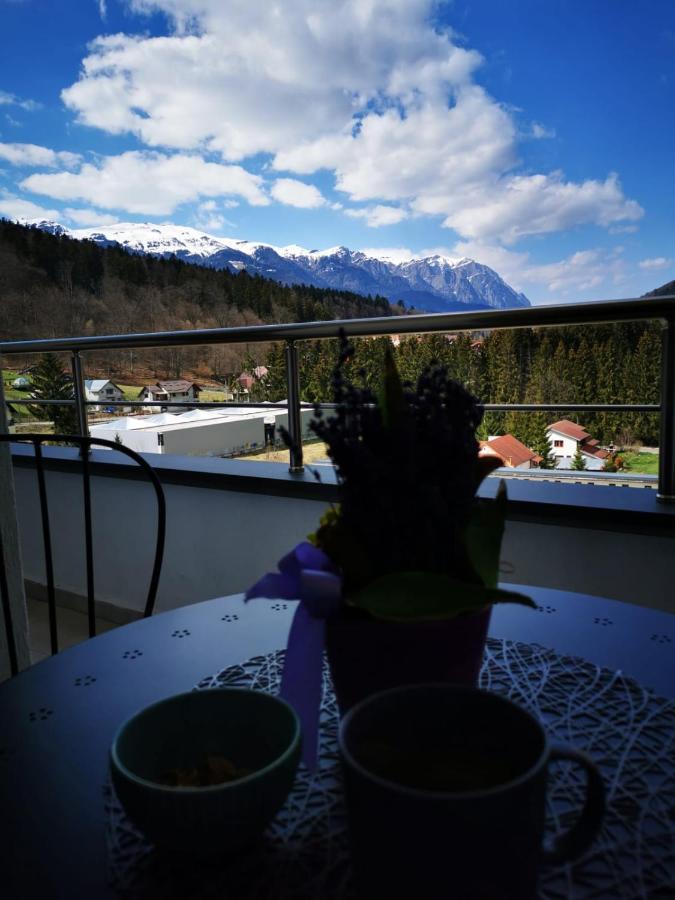 Апартаменты Bucegi View 39 - Colina Marei Синая Экстерьер фото